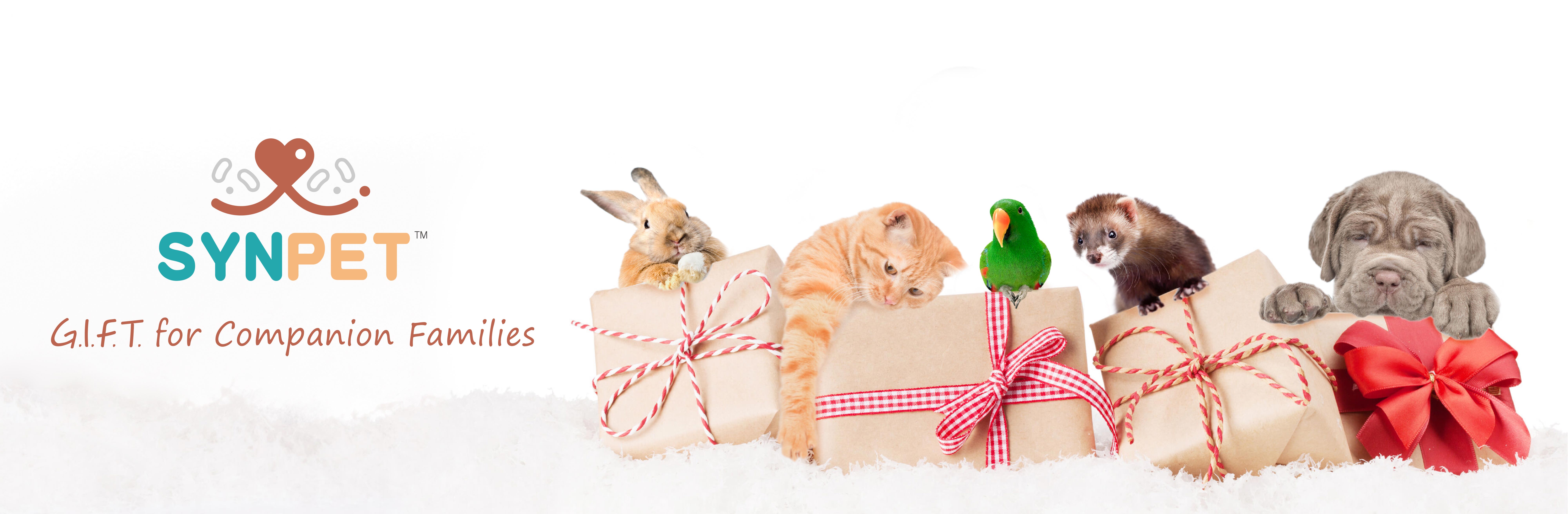 SYNPET for Companion Families